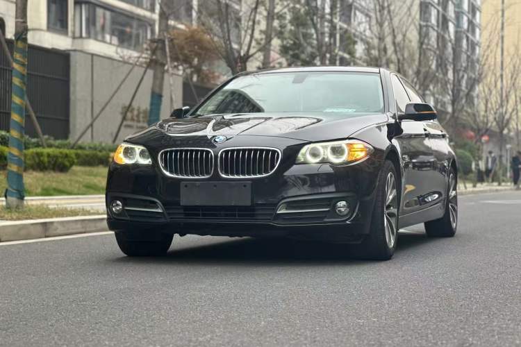 Used BMW 5 Series 2017 525Li Leading Model Exterior 6