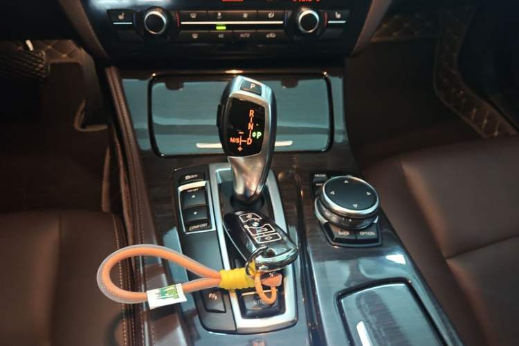 Used BMW 5 Series 2017 525Li Luxury Design Package Gear Lever