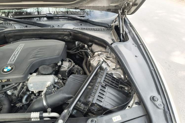 Used BMW 5 Series 2017 520Li Elegant Edition Engine Bay Left