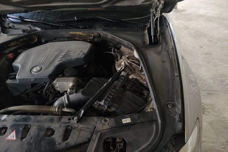 Used BMW 5 Series 2017 520Li Elegant Edition Engine Bay Left