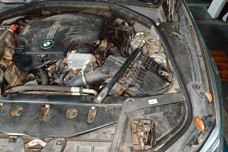 Used BMW 5 Series 2017 520Li Elegant Edition Engine Bay Left