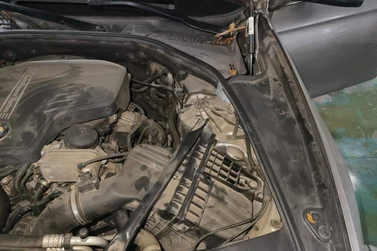 Used BMW 5 Series 2017 525Li Leading Model Engine Bay Left