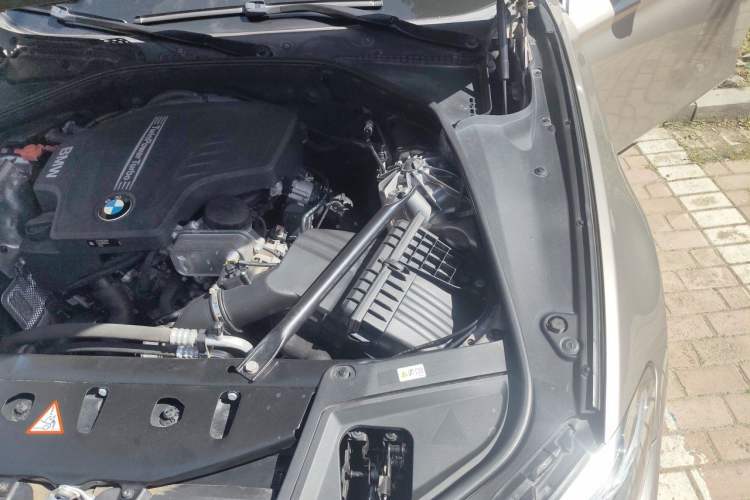 Used BMW 5 Series 2017 520Li Elegant Edition Engine Bay Left