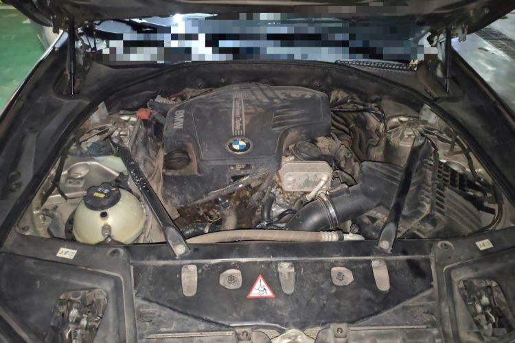 Used BMW 5 Series 2017 525Li Leading Model Engine Bay