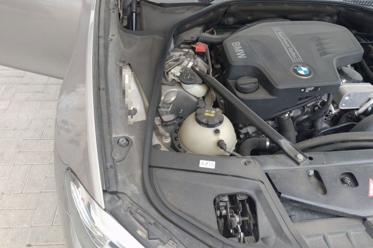 Used BMW 5 Series 2017 525Li Luxury Design Package Engine Bay Right