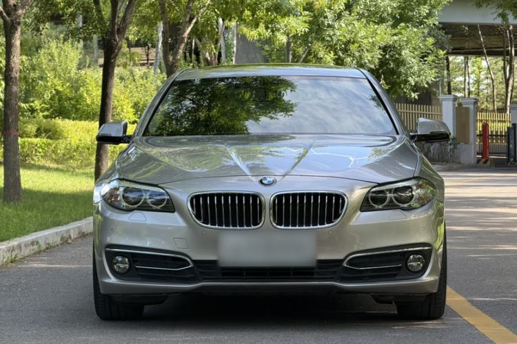 Used BMW 5 Series 2017 525Li Luxury Design Package Exterior 5