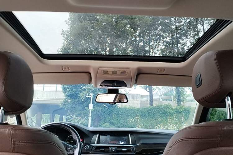 Used BMW 5 Series 2017 525Li Leading Model Headliner