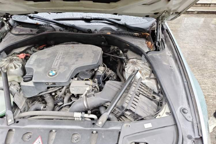 Used BMW 5 Series 2017 525Li Luxury Design Package Engine Bay Left