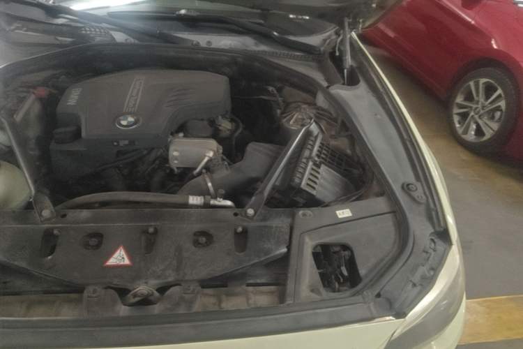 Used BMW 5 Series 2017 520Li Elegant Edition Engine Bay Left