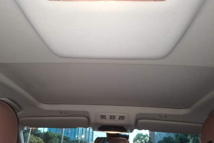 Used BMW 5 Series 2017 525Li Leading Model Headliner