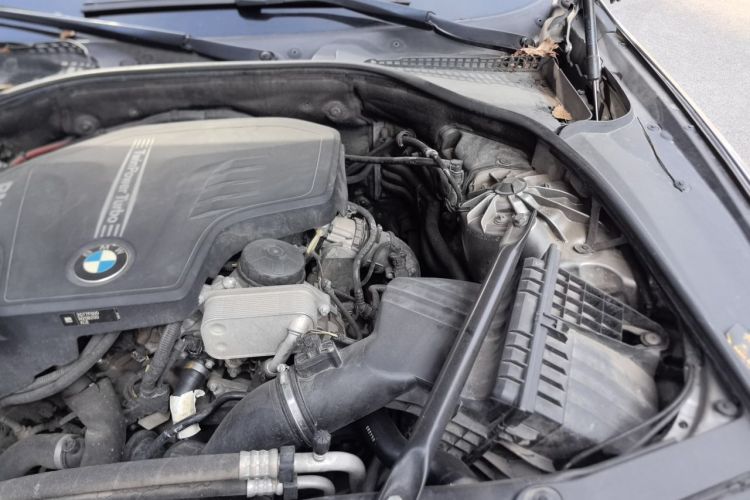 Used BMW 5 Series 2017 520Li Elegant Edition Engine Bay Left