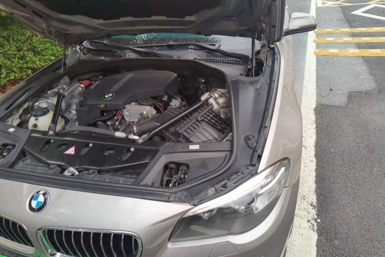 Used BMW 5 Series 2017 525Li Luxury Design Package Engine Bay Left