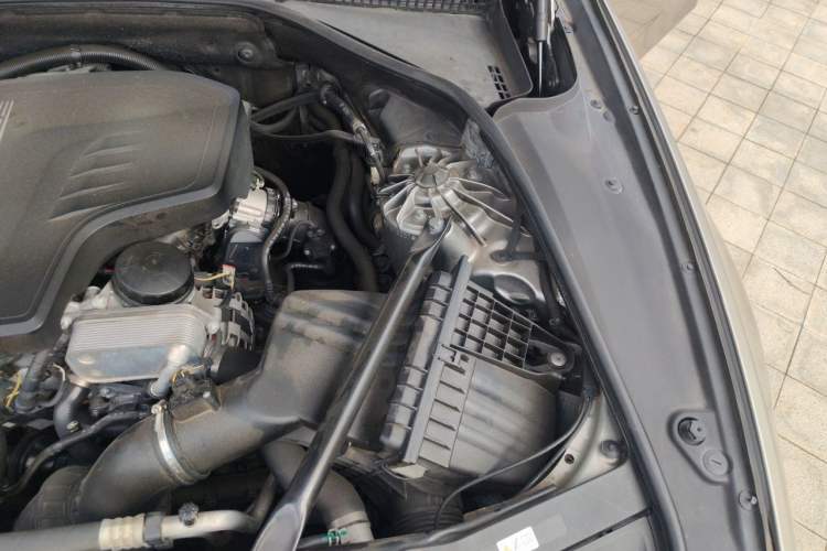 Used BMW 5 Series 2017 520Li Elegant Edition Engine Bay Left