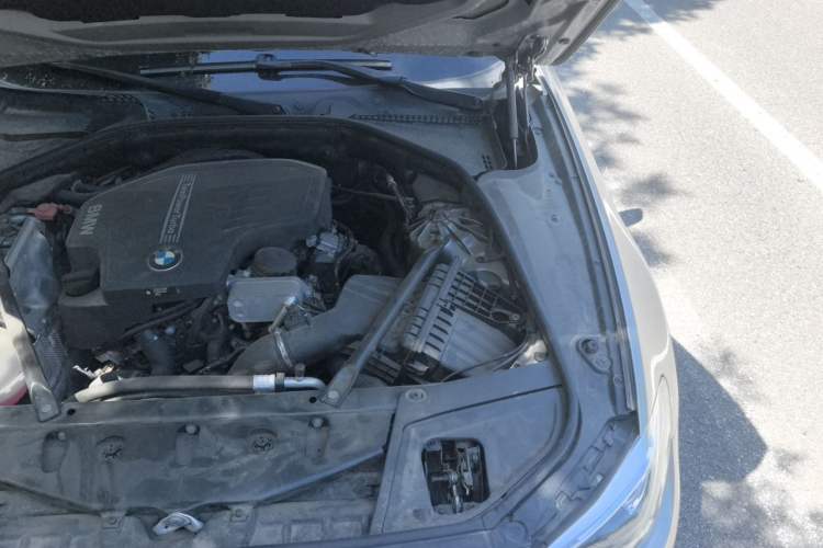 Used BMW 5 Series 2017 520Li Elegant Edition Engine Bay Left