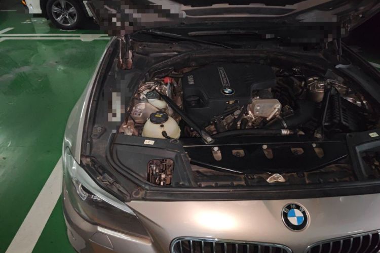 Used BMW 5 Series 2017 525Li Luxury Design Package Engine Bay Right