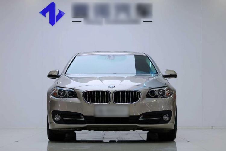 Used BMW 5 Series 2017 520Li Elegant Edition Exterior 1