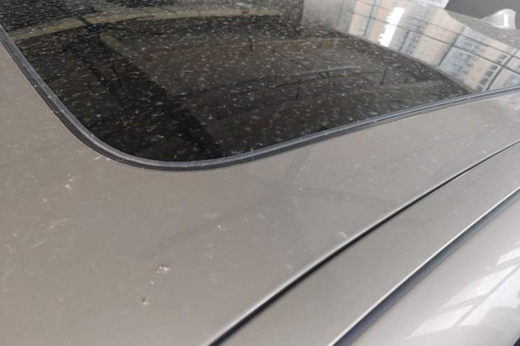 Used BMW 5 Series 2017 528Li Leading Model Roof