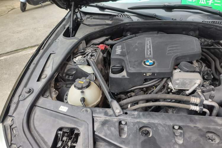 Used BMW 5 Series 2017 525Li Leading Model Engine Bay Right