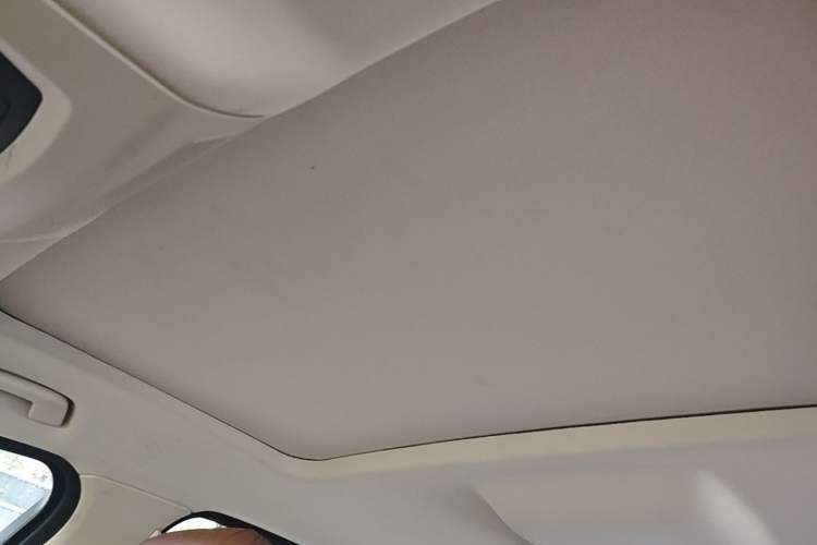 Used BMW 5 Series 2017 525Li Leading Model Headliner