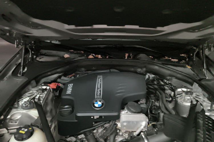 Used BMW 5 Series 2017 525Li Luxury Design Package Engine Bay