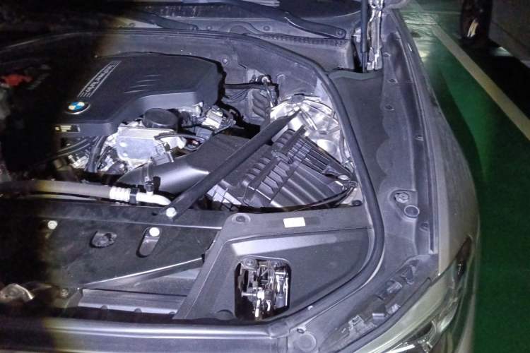 Used BMW 5 Series 2017 525Li Luxury Design Package Engine Bay Left
