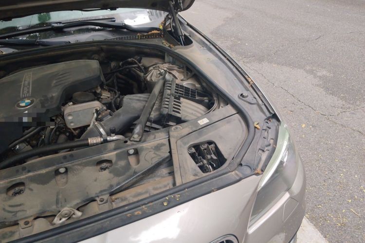 Used BMW 5 Series 2017 520Li Elegant Edition Engine Bay Left