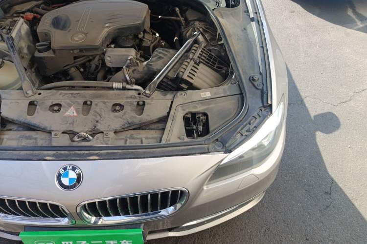Used BMW 5 Series 2017 525Li Luxury Design Package Engine Bay Left