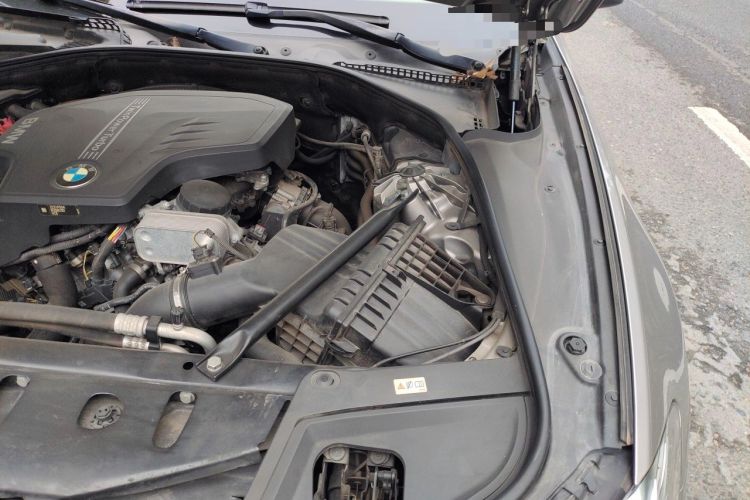 Used BMW 5 Series 2017 520Li Elegant Edition Engine Bay Left