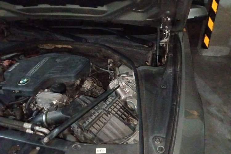 Used BMW 5 Series 2017 520Li Elegant Edition Engine Bay Left