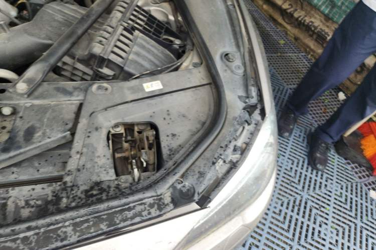 Used BMW 5 Series 2017 525Li Leading Model Engine Bay Left