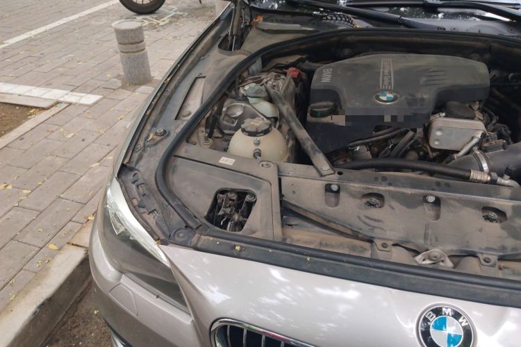 Used BMW 5 Series 2017 520Li Elegant Edition Engine Bay Right