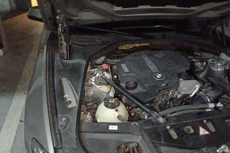 Used BMW 5 Series 2017 520Li Elegant Edition Engine Bay Right