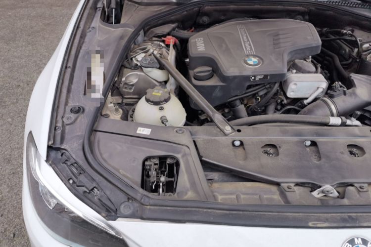 Used BMW 5 Series 2017 525Li Luxury Design Package Engine Bay Right