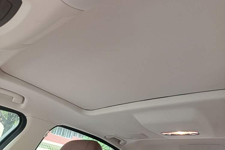 Used BMW 5 Series 2017 525Li Leading Model Headliner