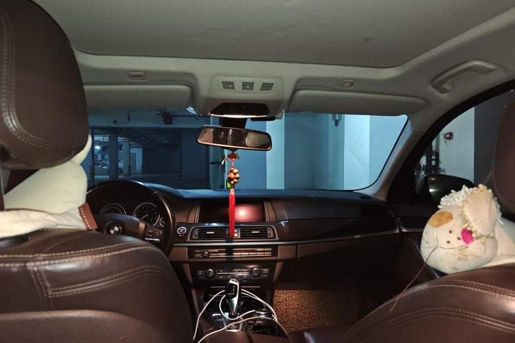 Used BMW 5 Series 2017 525Li Luxury Design Package Headliner