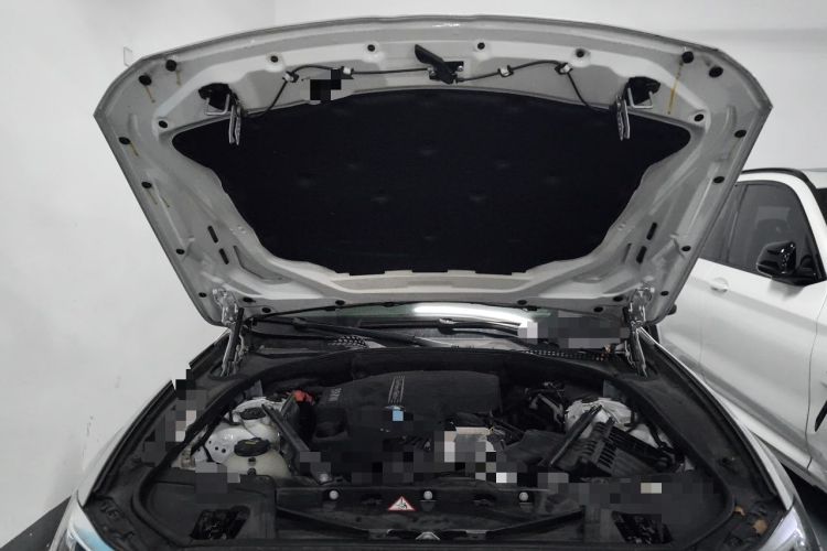 Used BMW 5 Series 2017 528Li Leading Model Engine Bay