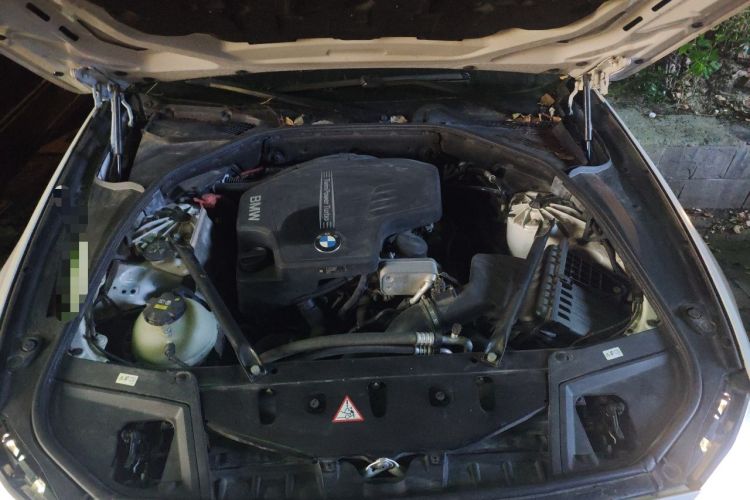 Used BMW 5 Series 2017 520Li Elegant Edition Engine Bay