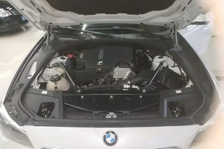 Used BMW 5 Series 2017 525Li Leading Model Engine Bay