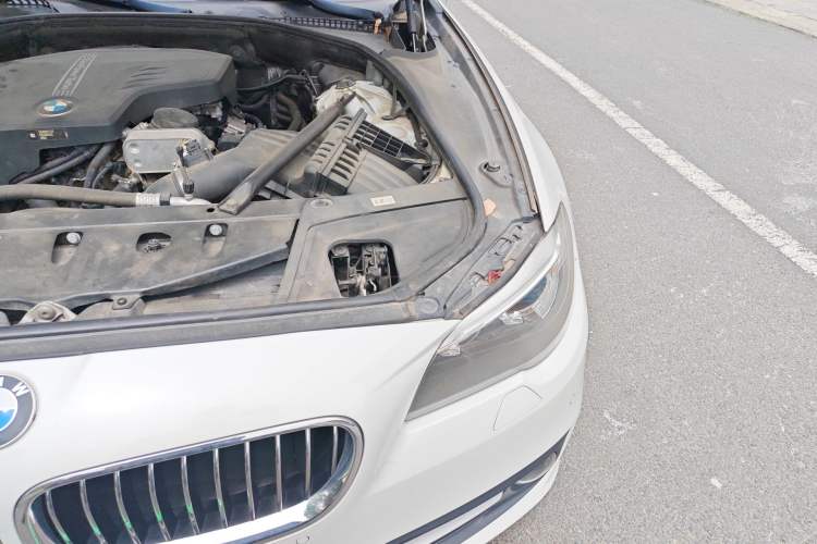 Used BMW 5 Series 2017 525Li Leading Model Engine Bay Left