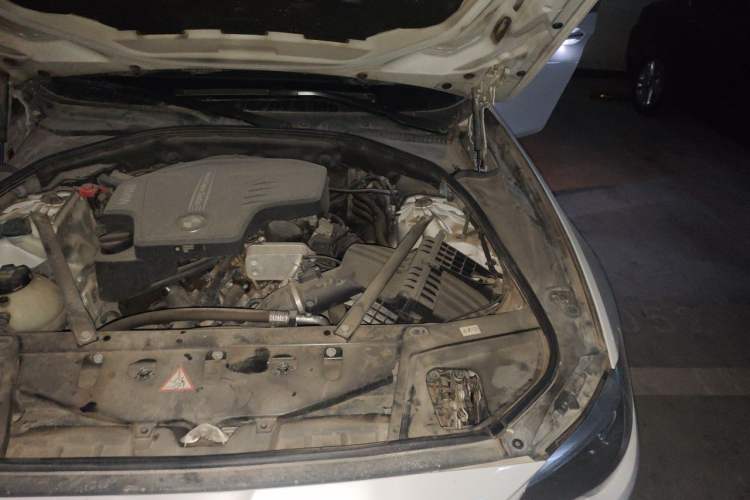 Used BMW 5 Series 2017 525Li Leading Model Engine Bay Left