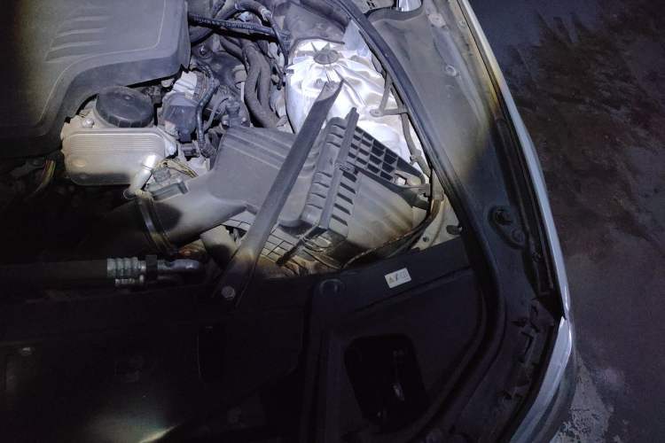 Used BMW 5 Series 2017 520Li Elegant Edition Engine Bay Left