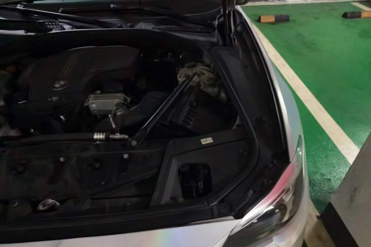Used BMW 5 Series 2017 528Li Leading Model Engine Bay Left