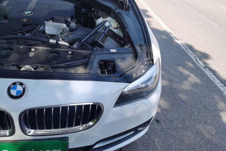 Used BMW 5 Series 2017 520Li Elegant Edition Engine Bay Left
