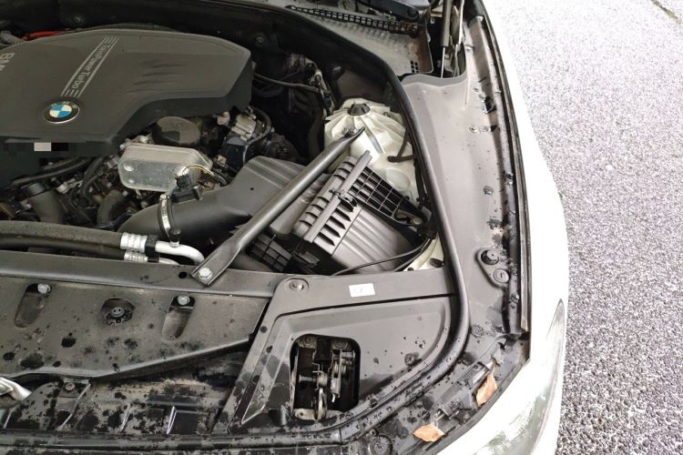 Used BMW 5 Series 2017 525Li Luxury Design Package Engine Bay Left