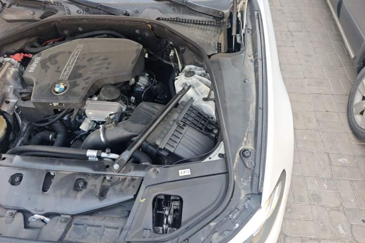Used BMW 5 Series 2017 525Li Luxury Design Package Engine Bay Left