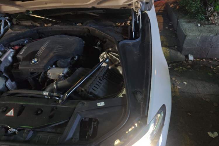 Used BMW 5 Series 2017 520Li Elegant Edition Engine Bay Left
