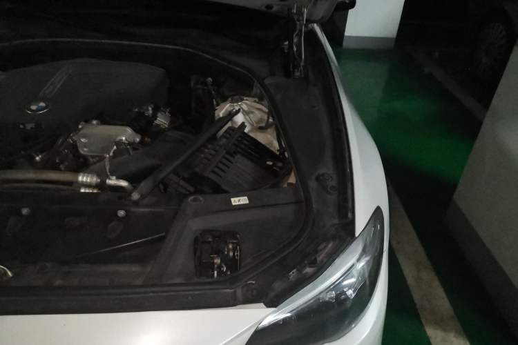 Used BMW 5 Series 2017 525Li Leading Model Engine Bay Left