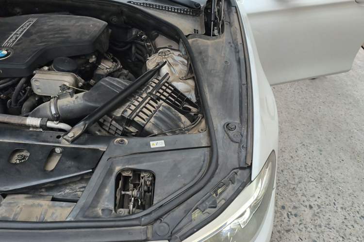 Used BMW 5 Series 2017 520Li Elegant Edition Engine Bay Left