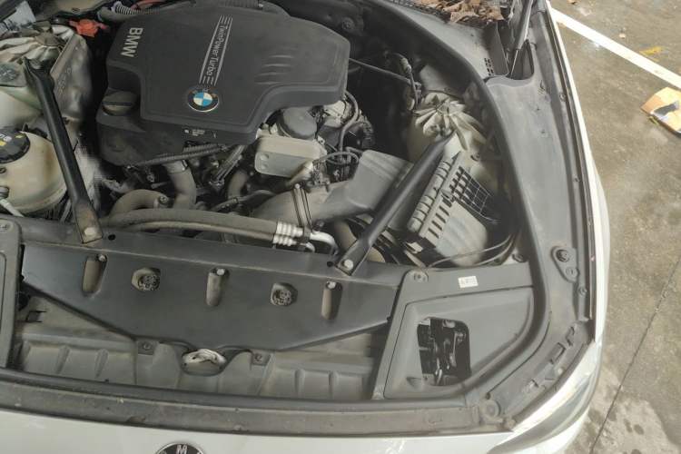 Used BMW 5 Series 2017 525Li Leading Model Engine Bay Left