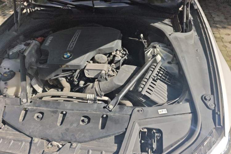 Used BMW 5 Series 2017 528Li Leading Model Engine Bay Left